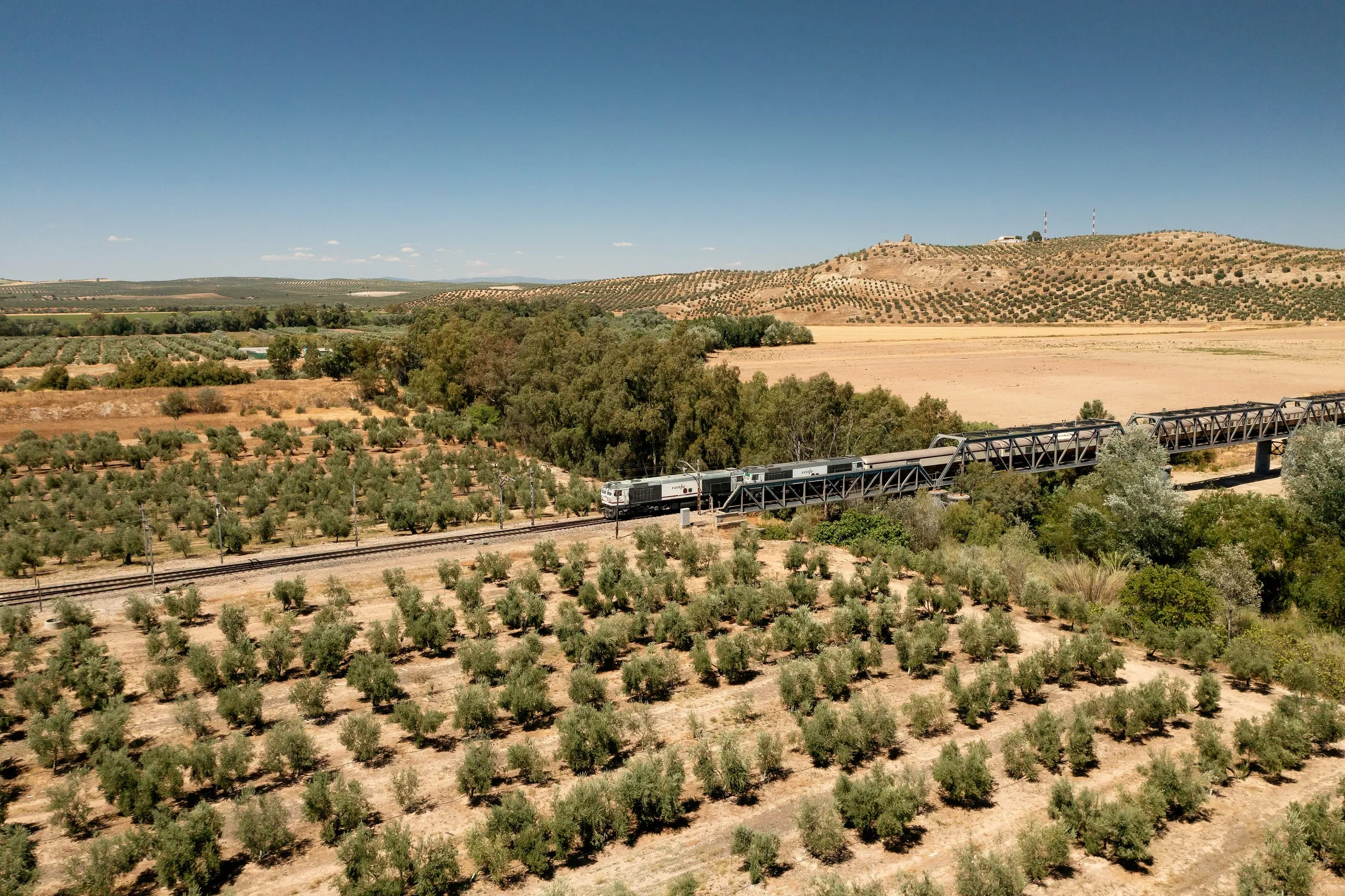 Der Al Ándalus fährt durch die Olivenhaine Andalusiens