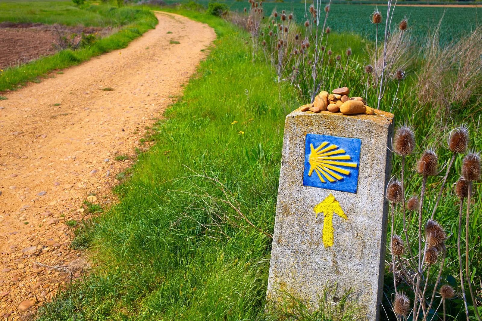 Wegweiser mit der Jakobsmuschel am Jakobsweg