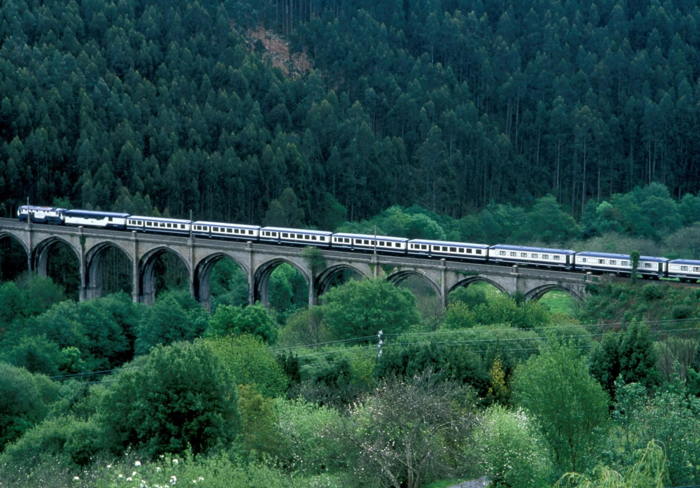 Der El Transcantábrico auf einem Viadukt im grünen Nordspanien